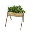 Minigarden junior 45x53x60cm geïmpregneerd grenen