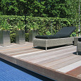 Terrasplank Mukulungu - Afrikulu 25x145mm glad Premium P410 | 275cm