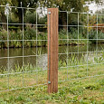 Hardhouten Azobé Paal geschaafd met V-groef gepunt 6,5x6,5x300cm