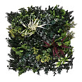 Aslon® Green Wall 50 x 50 cm Element Botanic B