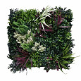 Aslon® Green Wall 50 x 50 cm Element Tropic A