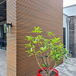 WEO35 Gardenwall Gevelbekleding | Composiet | 33 x 170 mm | Ipé | 390cm