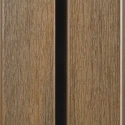 WEO60 Gardenwall Gevelbekleding | Teak | 33 x 170 mm | 290cm