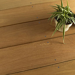 Terrasplank Bangkirai 21x145mm gegroefd/glad Premium P100 396cm