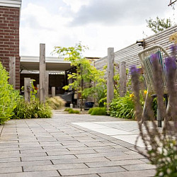 Smartton 10x30x6cm Kilimanjaro