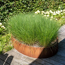 ELLIPSE zonder bodem 2800x1600x600mm Corten (CELW1)