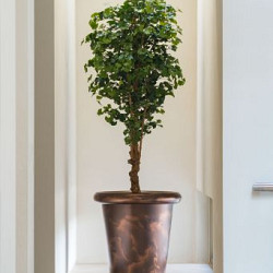 Tube Ø1000x950mm Gecoat staal (ATC1)