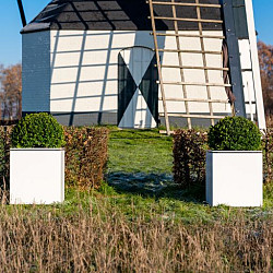 Domus 550x550x600mm Aluminium (DOA4)