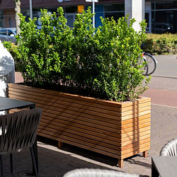 Malaga Rhombus 2000x500x650mm Hardhout 21mm (HRS22)