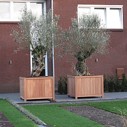 Valencia 1200x1200x950mm Hardhout 21mm (HR4)