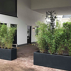 CARREZ met bodem 400x400x1000mm Polyester (PB10.3)