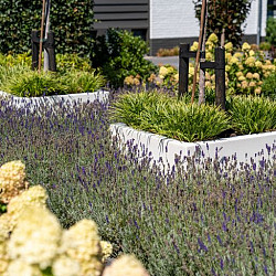 CARREZ met bodem 400x400x1200mm Polyester (PB10.4)