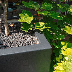 CARREZ met bodem 500x500x1000mm Polyester (PB9.2)