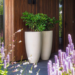 CANNA Ø500x590mm Polyester (PC1)