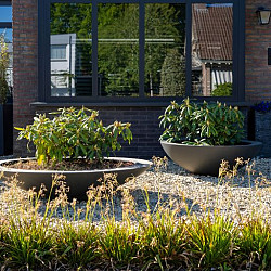 Ceder Ø1200x400mm Polyester (PD3)