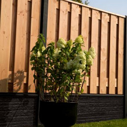 Beton onderplaat dubbelzijdig rotsmotief 36x3,5x184cm antraciet gecoat