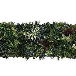 Aslon® Green Wall 50 x 50 cm Element Botanic A