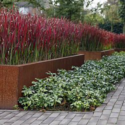 CARREZ met bodem 2000x500x500mm Corten (CA23)