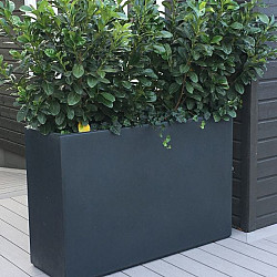 CARREZ met bodem 800x400x800mm Polyester (PB24.4)