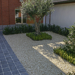 Yellow Sun split 8-16mm 20kg