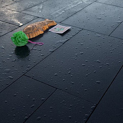 GeoStretto Alivo Milano