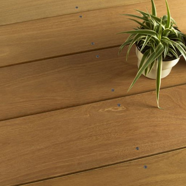 Terrasplank Bangkirai 25x145mm gegroefd/glad Premium P100 | 396cm