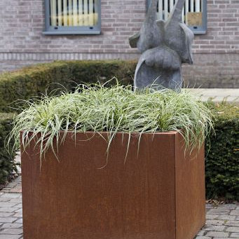 Plantenbak Vlak Corten 300x300x60cm