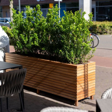 Malaga Rhombus 2000x500x650mm Hardhout 21mm (HRS22)