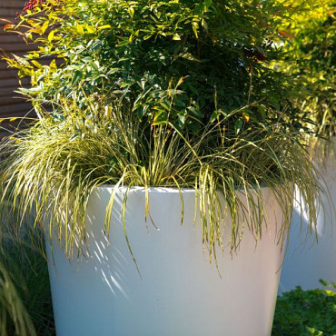 CONIC met bodem Ø1500x800mm Polyester (PE1.1)