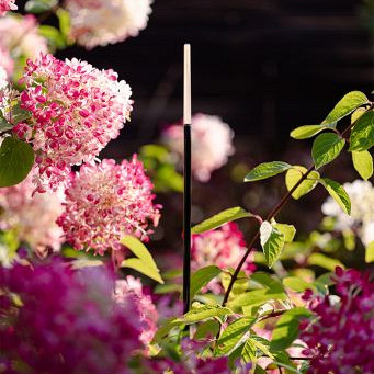 Solitary BREEZE LOW 60cm