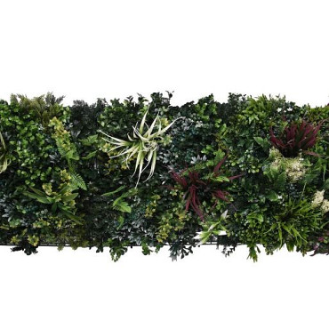 Aslon® Green Wall 50 x 50 cm Element Botanic C