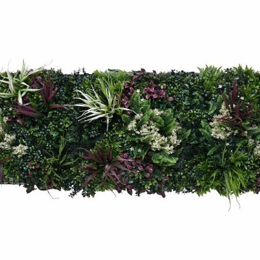 Aslon® Green Wall 50 x 50 cm Element Tropic B