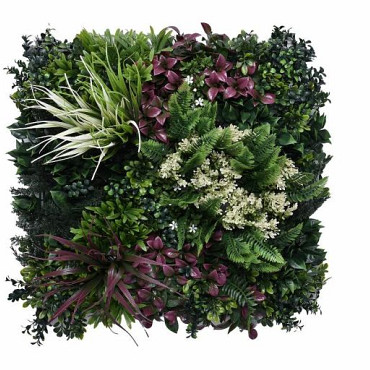 Aslon® Green Wall 50 x 50 cm Element Tropic B