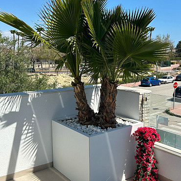 Plantenbak Vlak Wit 300x30x60cm