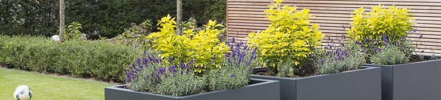 Forsento Vlakke Plantenbakken