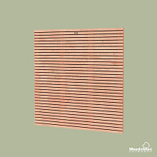 Tuinscherm Elan 180 Excellent douglas 180x180x4,2cm onbehandeld