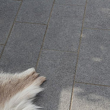 Natuursteen basalt 20x40x5cm | OP=OP