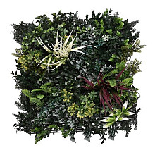 Aslon® Green Wall 50 x 50 cm Element Botanic B