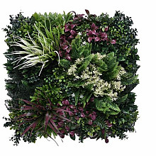 Aslon® Green Wall 50 x 50 cm Element Tropic B